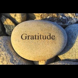 Meet your Posher, Ava